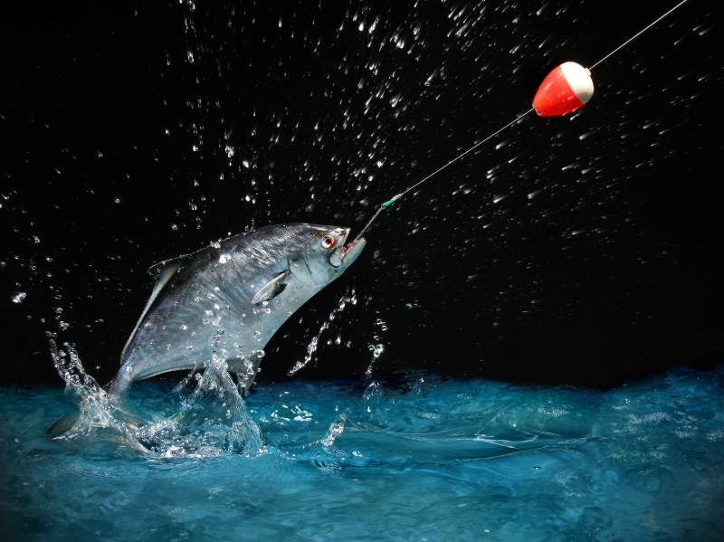 145557-catching-a-big-fish-at-night